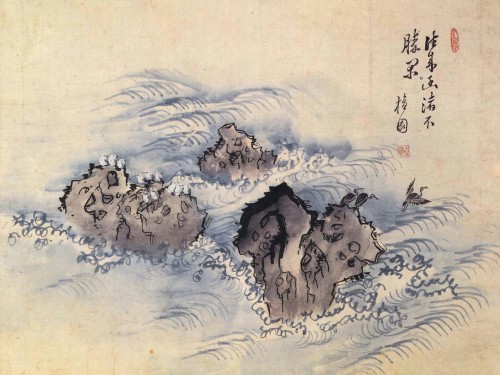 Waterbirds on Rocks by a Heavy Sea