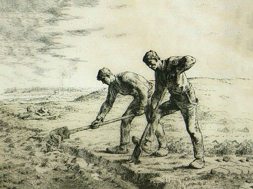 The Diggers