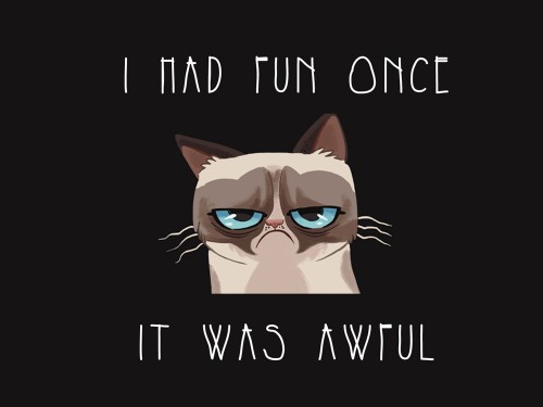 I Had Fun Once It Was Awful