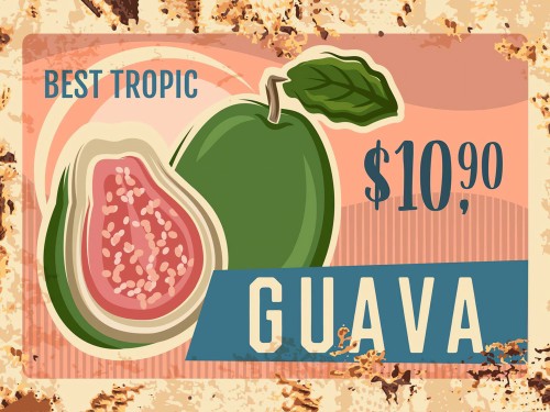 Guava Tropical Fruit