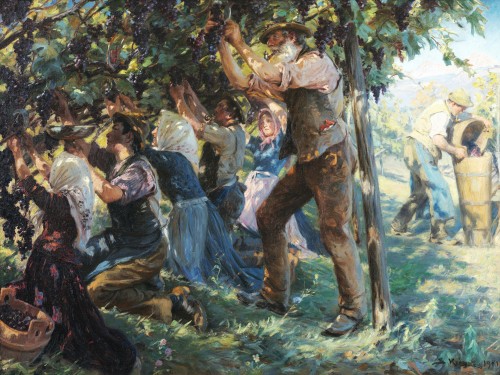 Wine Harvest in the Tyrol