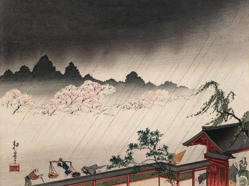 Sudden shower on cherry blossoms
