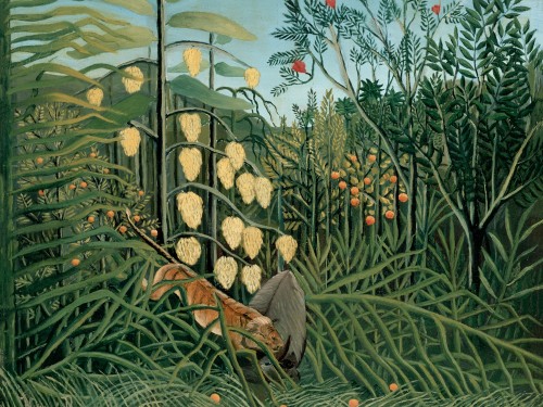 In a Tropical Forest