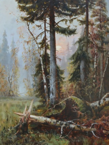 Дебри