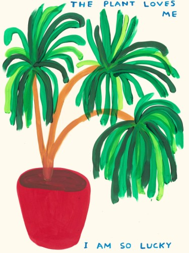 The plant loves me