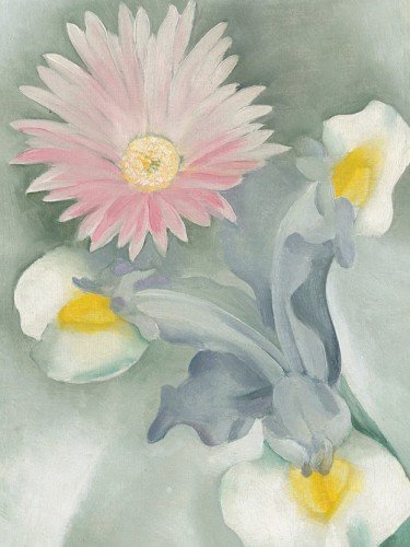 Pink Daisy with Iris