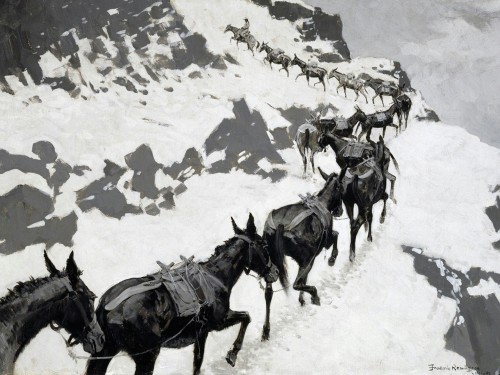 The Mule Pack