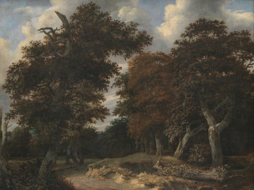 Road through an Oak Forest