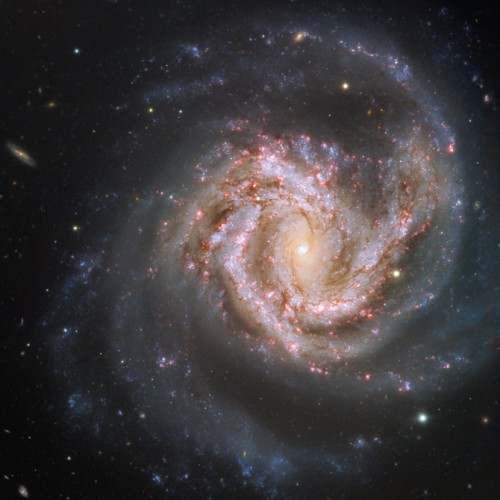 M 61
