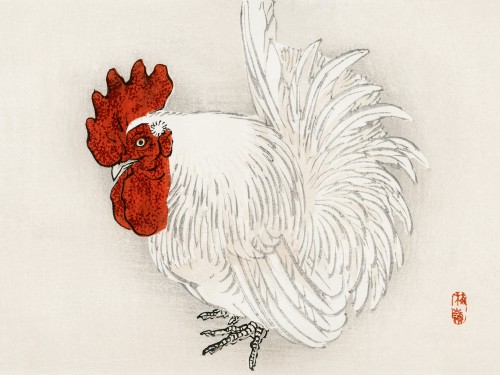 Japanese Bantam