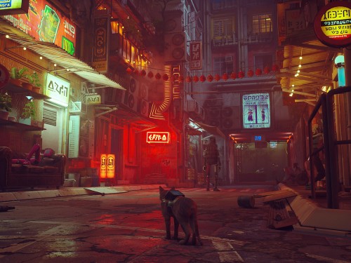 Stray