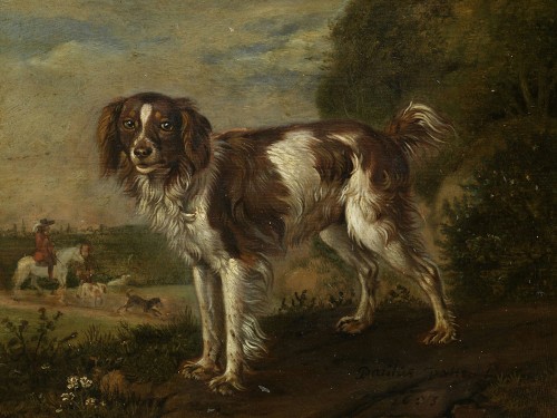 Een patrijshond