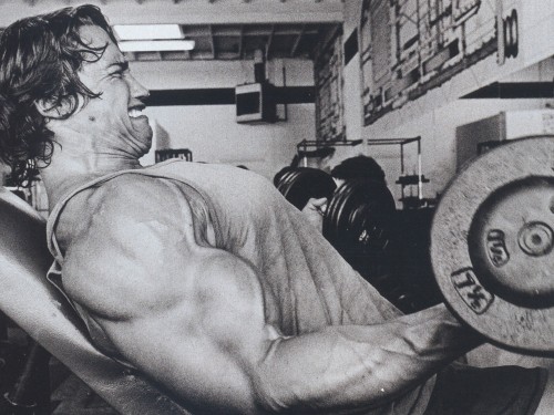 Schwarzenegger