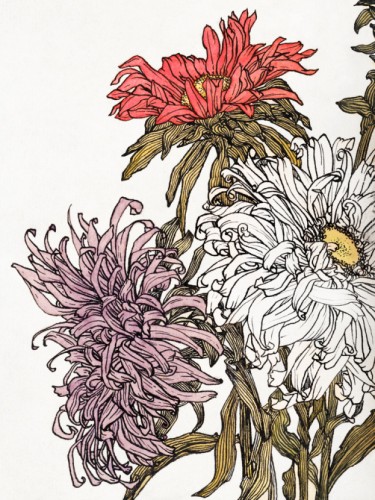 Chrysanthemums