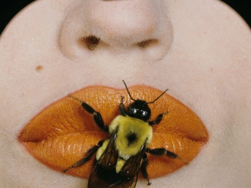 Vogue december 1995