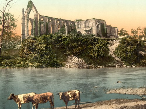 Abbey from the river, Bolton Abbey, England