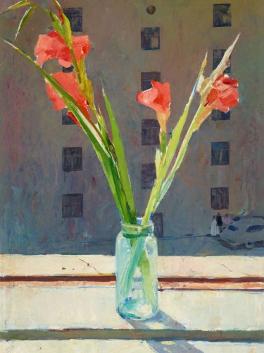 Gladiolus