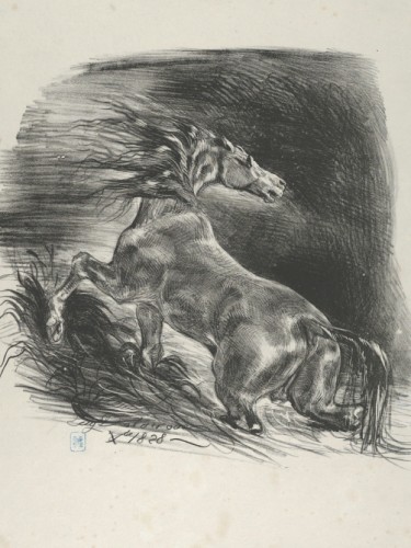Wild Horse
