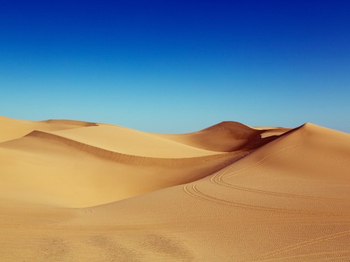 Imperial Sand Dunes