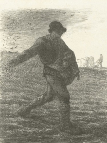 De Zaaier