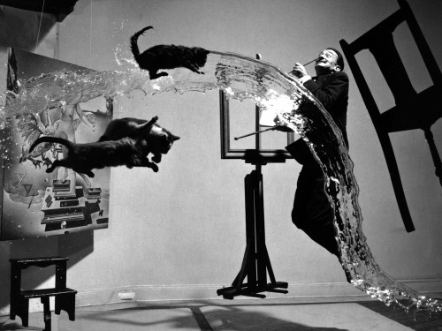 Dali Atomicus