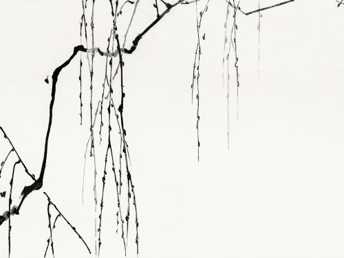 Tree branches