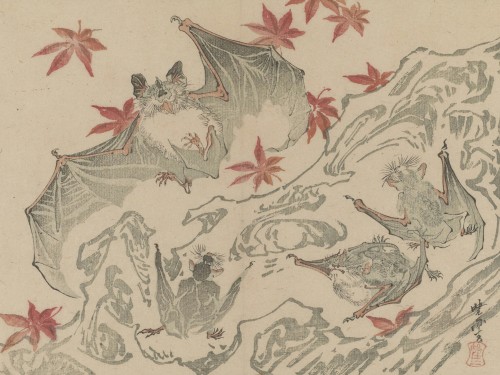 Bat