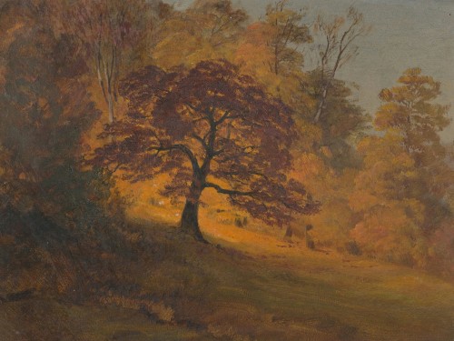 Autumn Foliage