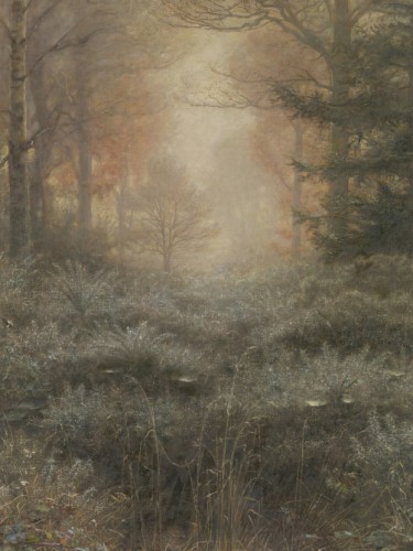 Dew-Drenched Furze