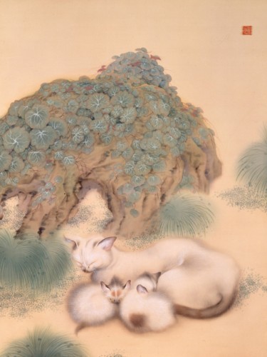Кот