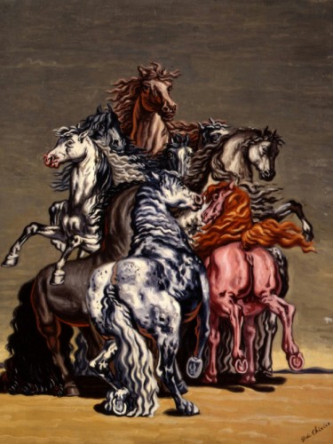Cavalli selvaggi