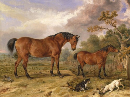 Portrait of Reformer, Blucher, Tory and Crib
