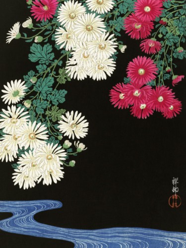 Chrysanthemums