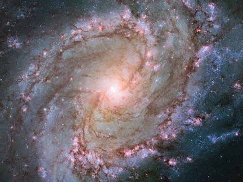 M 83