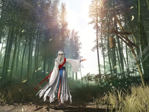 Black Desert
