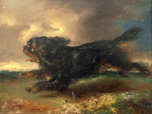 Dog running in the Storm