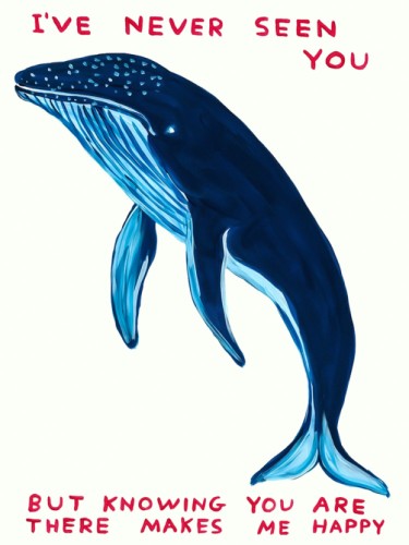 Whale
