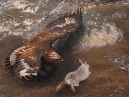 Eagle and Hare