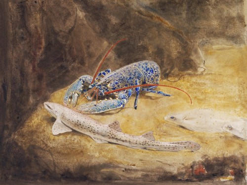 Aquarium