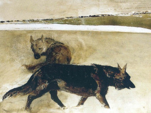 Wolves
