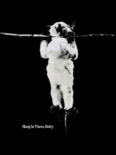 Hang in there, Baby