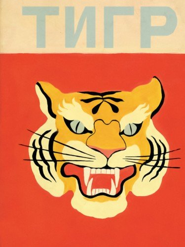 Тигр