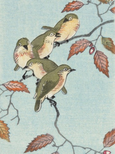 Birds on a branch