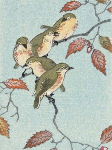 Birds on a branch