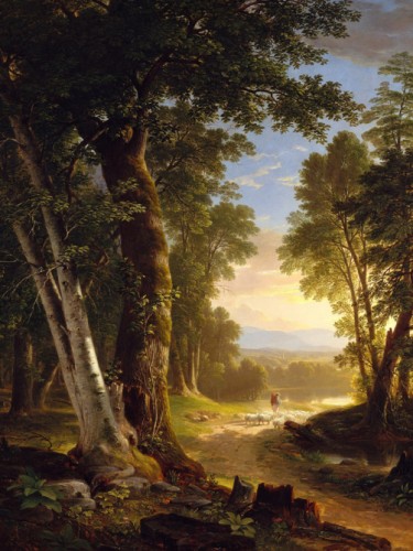 The Beeches