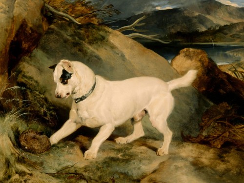 Portrait of a Terrier