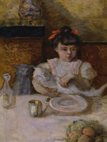 Child and Cats