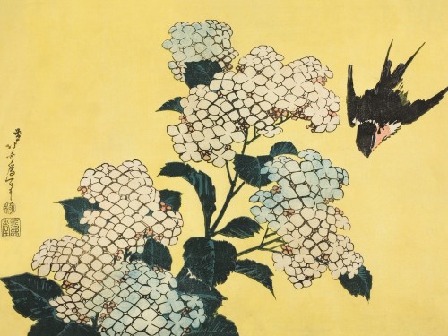 Картина Hydrangea and Swallow