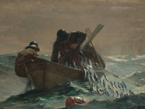 The Herring Net