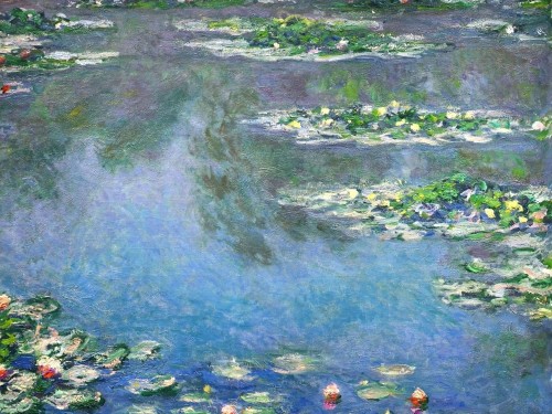 Водяные лилии, 1906